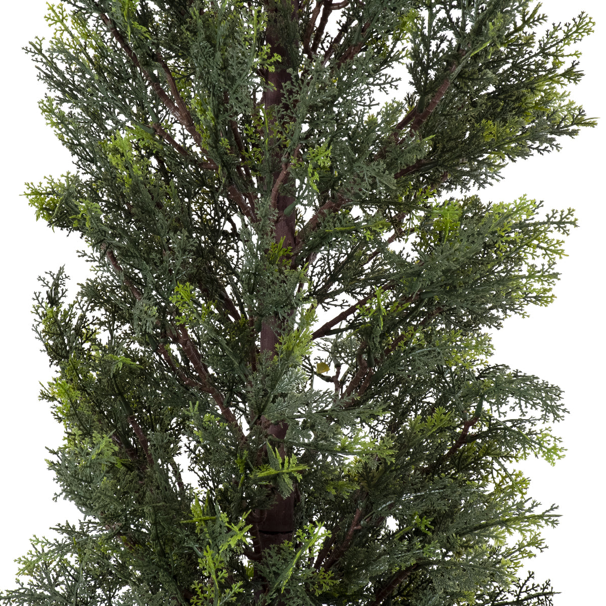 GloboStar® Artificial Garden LEMON CYPRESS 20152 Τεχνητό Διακοσμητικό Φυτό Λεμονόκυπάρισσο Υ150cm - ledmania.gr
