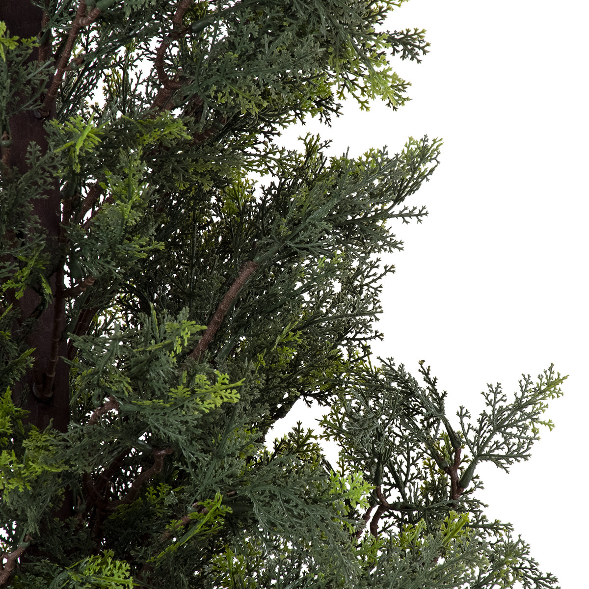 GloboStar® Artificial Garden LEMON CYPRESS 20153 Τεχνητό Διακοσμητικό Φυτό Λεμονόκυπάρισσο Υ180cm - ledmania.gr