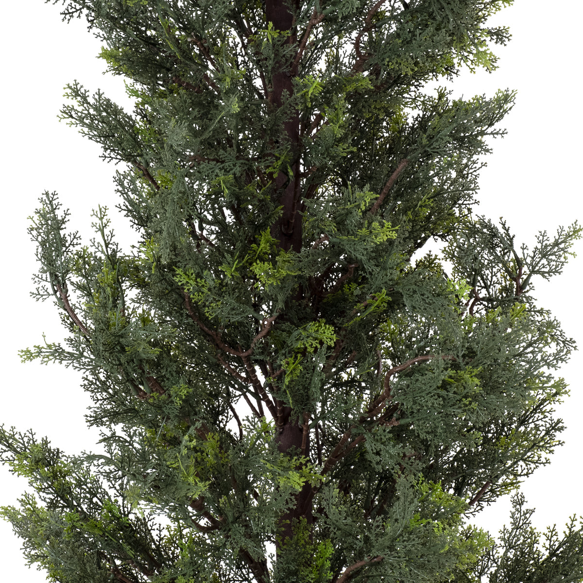 GloboStar® Artificial Garden LEMON CYPRESS 20153 Τεχνητό Διακοσμητικό Φυτό Λεμονόκυπάρισσο Υ180cm - ledmania.gr