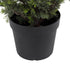 GloboStar® Artificial Garden LEMON CYPRESS 20153 Τεχνητό Διακοσμητικό Φυτό Λεμονόκυπάρισσο Υ180cm - ledmania.gr