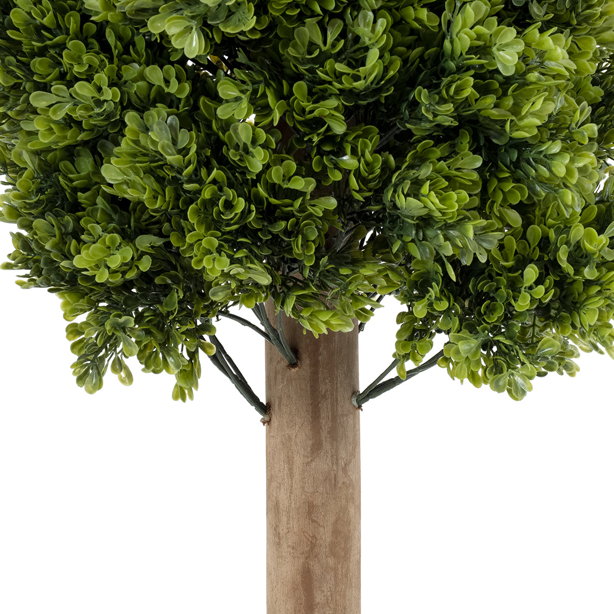 GloboStar® Artificial Garden BUXUS 20157 Τεχνητό Διακοσμητικό Φυτό Πυξός Υ180cm - ledmania.gr