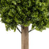 GloboStar® Artificial Garden BUXUS 20157 Τεχνητό Διακοσμητικό Φυτό Πυξός Υ180cm - ledmania.gr