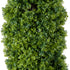 GloboStar® Artificial Garden BUXUS 20158 Τεχνητό Διακοσμητικό Φυτό Πυξός Υ250cm - ledmania.gr