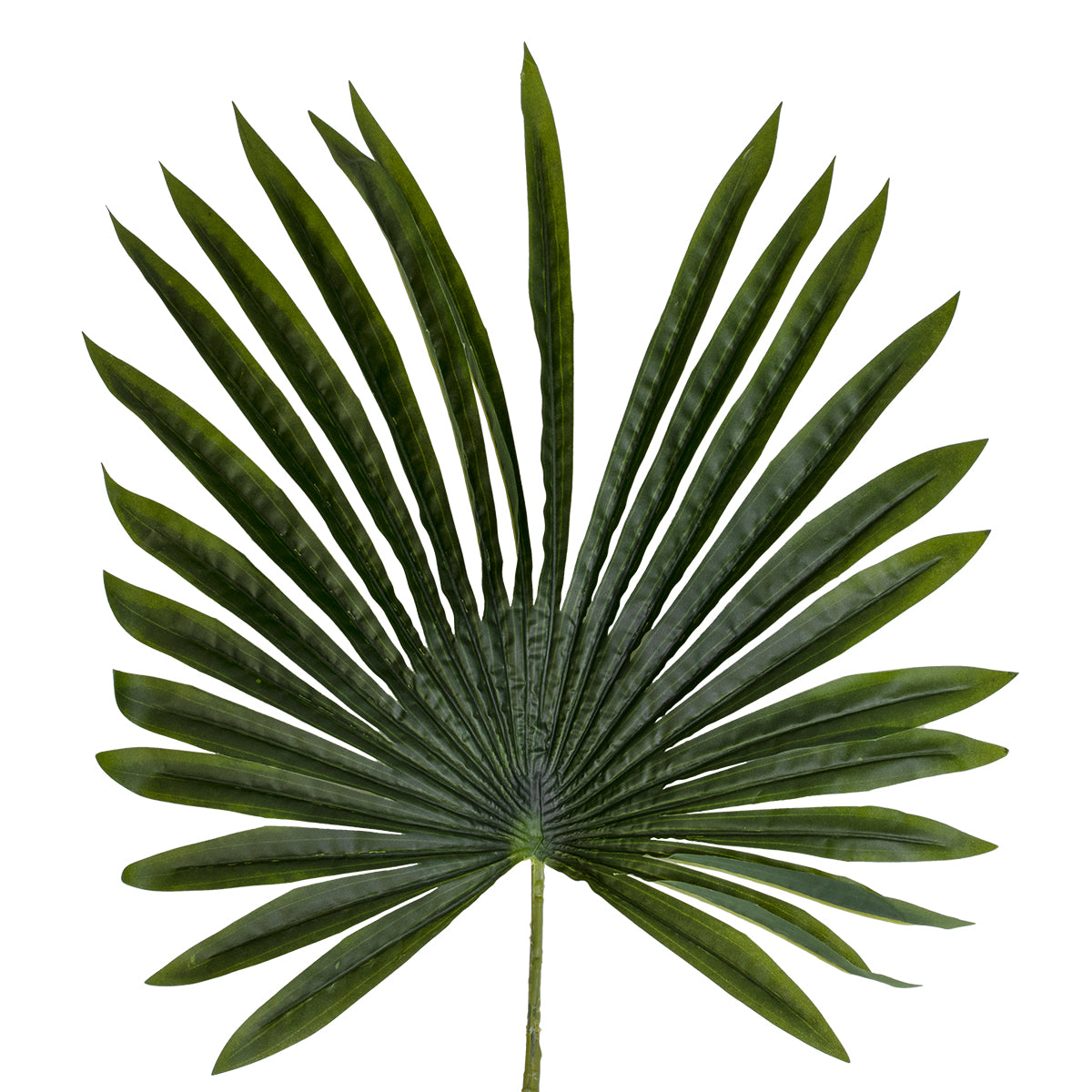 GloboStar® Artificial Garden SERENOA PALM LEAF 20173 Τεχνητό Διακοσμητικό Φύλο Φοινικόδεντρου Σερενόα Βεντάλια Π47 x Υ120cm - ledmania.gr