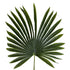 GloboStar® Artificial Garden SERENOA PALM LEAF 20173 Τεχνητό Διακοσμητικό Φύλο Φοινικόδεντρου Σερενόα Βεντάλια Π47 x Υ120cm - ledmania.gr