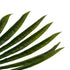 GloboStar® Artificial Garden SERENOA PALM LEAF 20173 Τεχνητό Διακοσμητικό Φύλο Φοινικόδεντρου Σερενόα Βεντάλια Π47 x Υ120cm - ledmania.gr