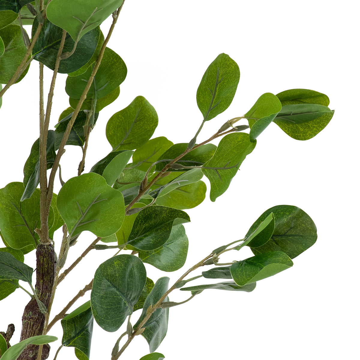GloboStar® Artificial Garden EUCALYPTUS 20190 Τεχνητό Διακοσμητικό Φυτό Ευκάλυπτος Υ120cm - ledmania.gr