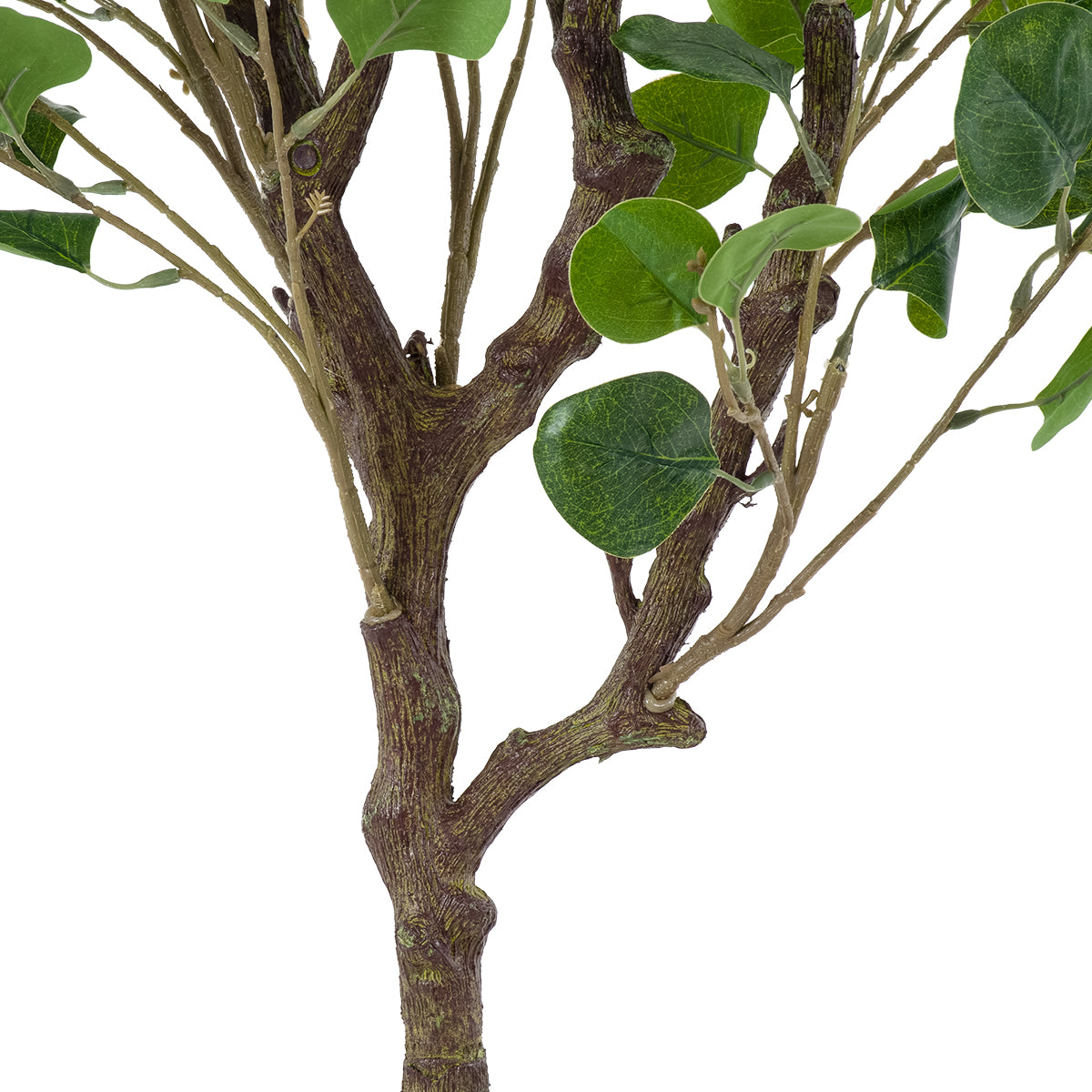 GloboStar® Artificial Garden EUCALYPTUS 20190 Τεχνητό Διακοσμητικό Φυτό Ευκάλυπτος Υ120cm - ledmania.gr