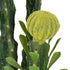 GloboStar® Artificial Garden CEREUS JAMACARU CACTUS 20193 Τεχνητό Διακοσμητικό Φυτό Κάκτος Κηρίος Υ120cm - ledmania.gr