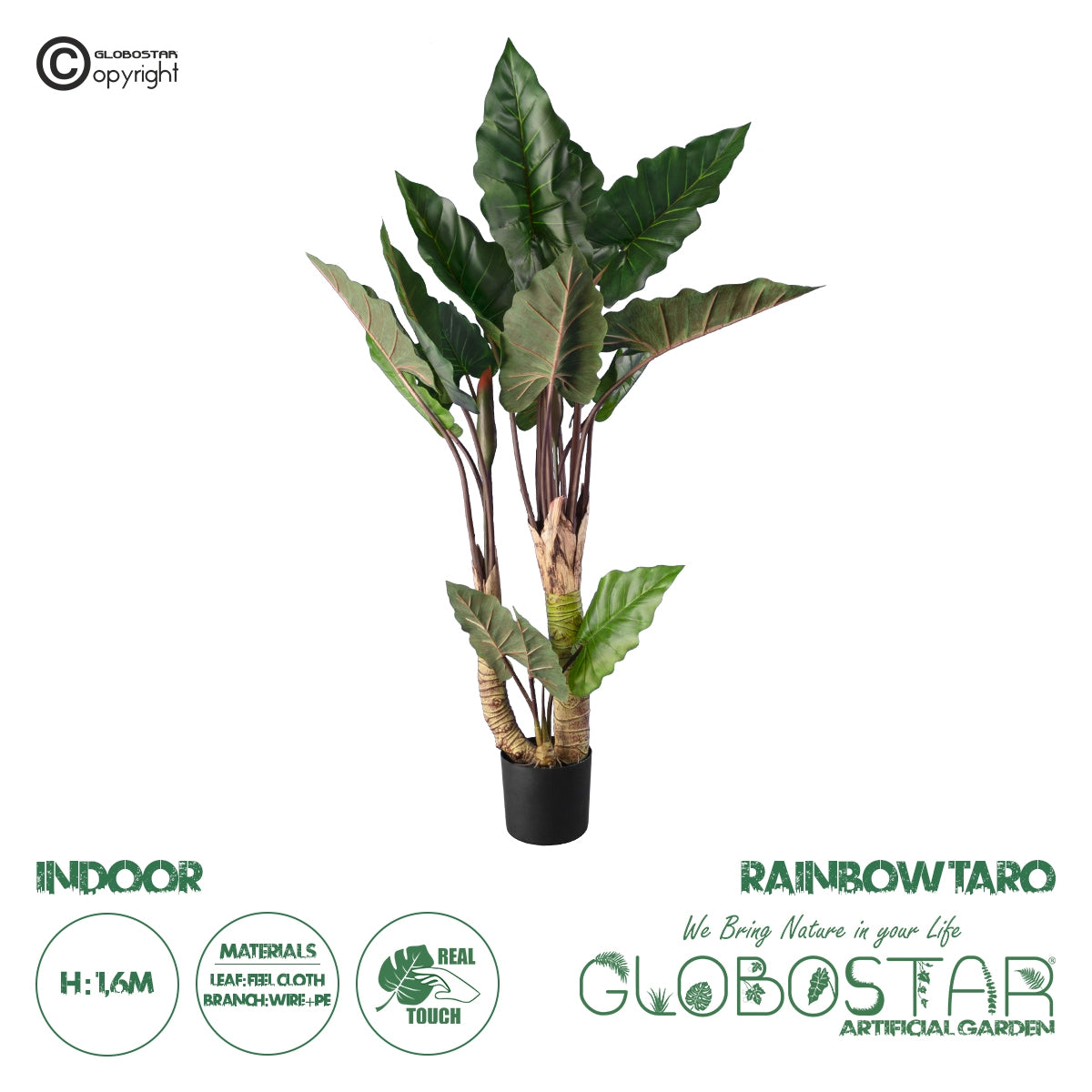 GloboStar® Artificial Garden RAINBOW TARO 20208 Τεχνητό Διακοσμητικό Φυτό Κολοκασία Υ160cm - ledmania.gr