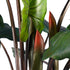 GloboStar® Artificial Garden RAINBOW TARO 20208 Τεχνητό Διακοσμητικό Φυτό Κολοκασία Υ160cm - ledmania.gr