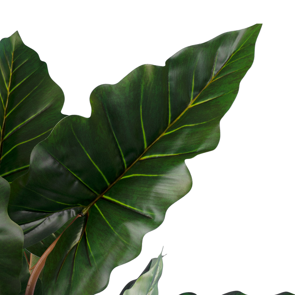 GloboStar® Artificial Garden RAINBOW TARO 20208 Τεχνητό Διακοσμητικό Φυτό Κολοκασία Υ160cm - ledmania.gr