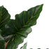GloboStar® Artificial Garden RAINBOW TARO 20208 Τεχνητό Διακοσμητικό Φυτό Κολοκασία Υ160cm - ledmania.gr