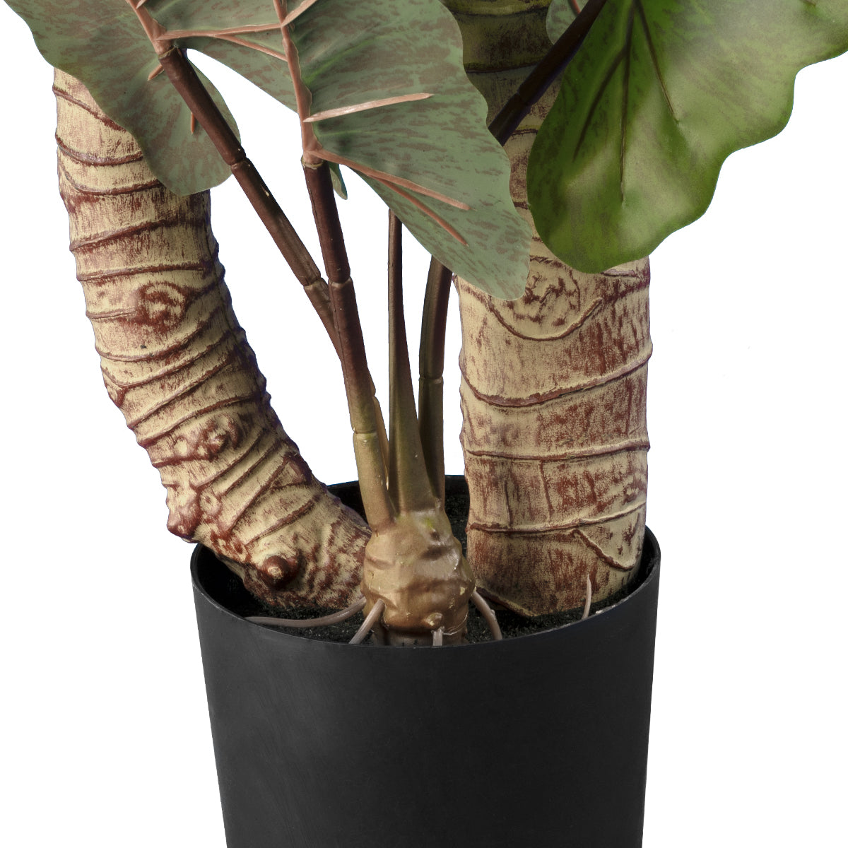 GloboStar® Artificial Garden RAINBOW TARO 20208 Τεχνητό Διακοσμητικό Φυτό Κολοκασία Υ160cm - ledmania.gr