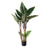 GloboStar® Artificial Garden RAINBOW TARO 20208 Τεχνητό Διακοσμητικό Φυτό Κολοκασία Υ160cm - ledmania.gr
