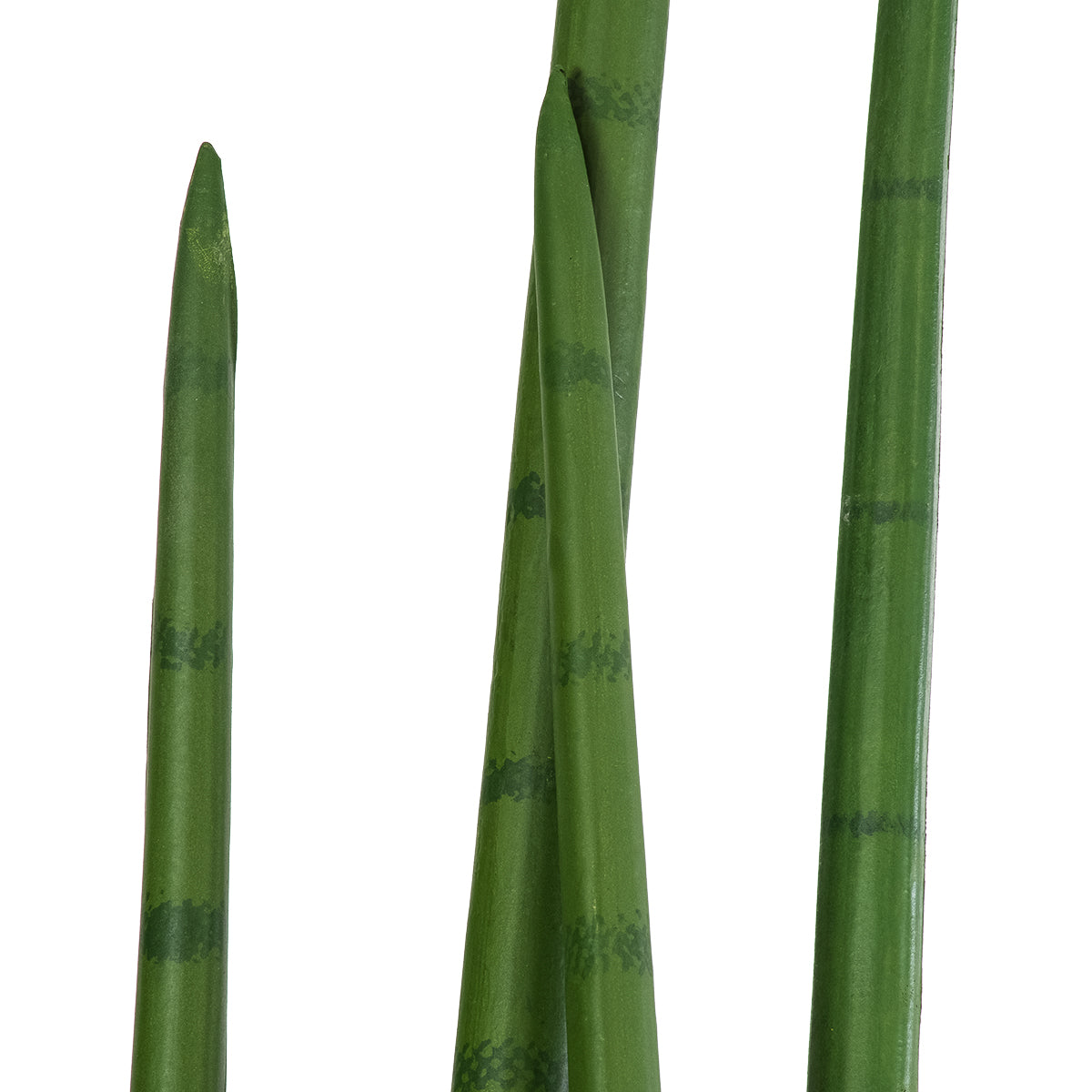 GloboStar® Artificial Garden SANSEVIERIA CYLINDRICA 20211 Τεχνητό Διακοσμητικό Φυτό Σανσεβιέρια Υ160cm - ledmania.gr