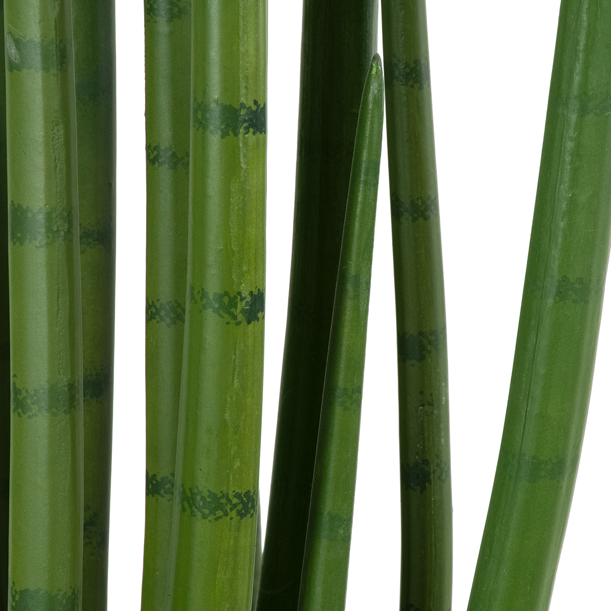GloboStar® Artificial Garden SANSEVIERIA CYLINDRICA 20211 Τεχνητό Διακοσμητικό Φυτό Σανσεβιέρια Υ160cm - ledmania.gr