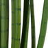 GloboStar® Artificial Garden SANSEVIERIA CYLINDRICA 20211 Τεχνητό Διακοσμητικό Φυτό Σανσεβιέρια Υ160cm - ledmania.gr
