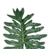 GloboStar® Artificial Garden TARO LEAF 20221 Τεχνητό Διακοσμητικό Φύλο Κολοκασίας Π24 x Υ84cm - ledmania.gr