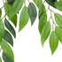 GloboStar® Artificial Garden LAUREL BRANCH 20231 Τεχνητό Διακοσμητικό Κλαδί Δάφνης Π50 x Υ65cm - ledmania.gr