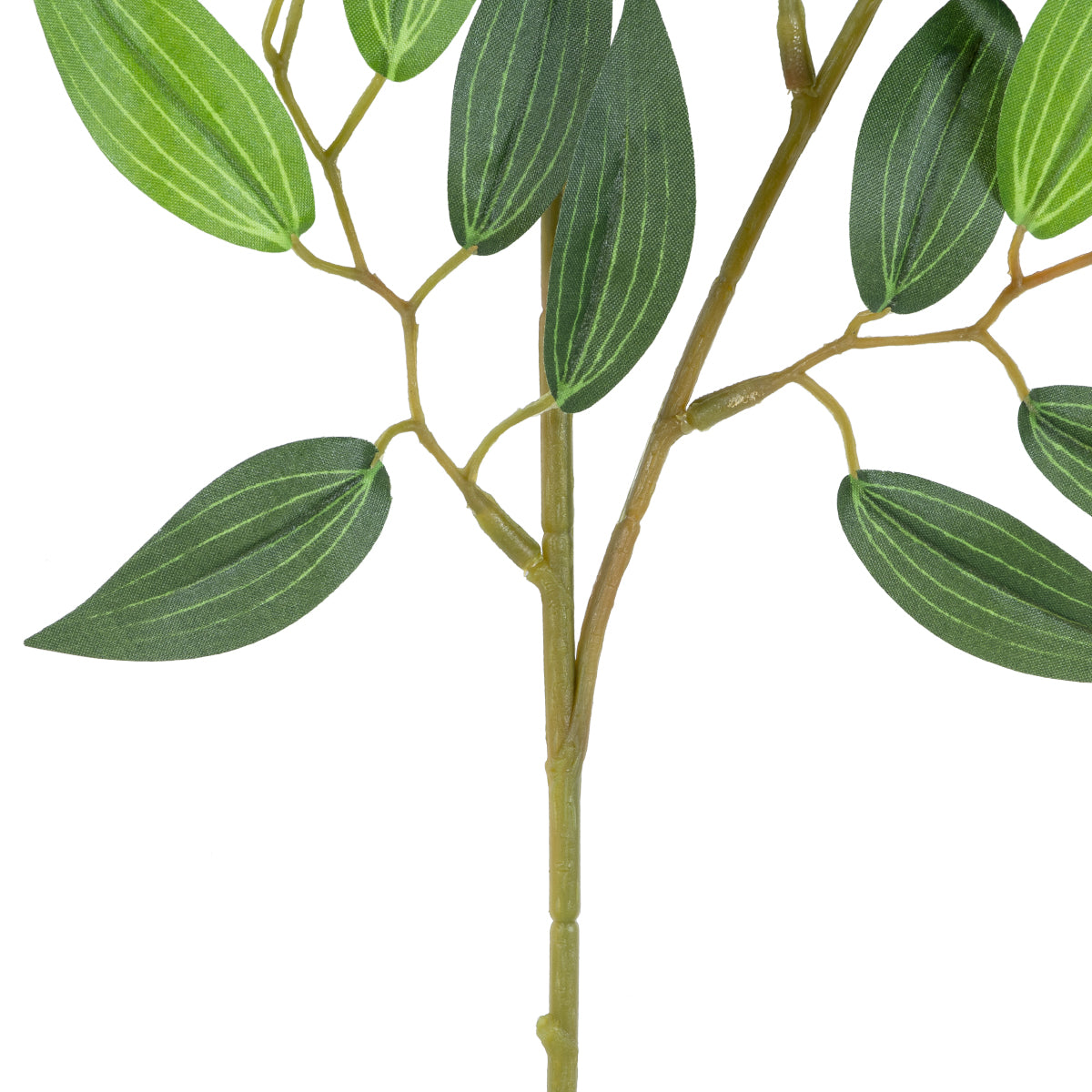 GloboStar® Artificial Garden LAUREL BRANCH 20231 Τεχνητό Διακοσμητικό Κλαδί Δάφνης Π50 x Υ65cm - ledmania.gr