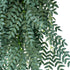 GloboStar® Artificial Garden ACACIA HANGING BRANCH 20254 Τεχνητό Διακοσμητικό Κρεμαστό Φυτό Ακακία Υ130cm - ledmania.gr