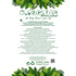 GloboStar® Artificial Garden ACACIA HANGING BRANCH 20254 Τεχνητό Διακοσμητικό Κρεμαστό Φυτό Ακακία Υ130cm - ledmania.gr