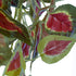 GloboStar® Artificial Garden COLEUS HANGING 20255 Τεχνητό Διακοσμητικό Κρεμαστό Φυτό Κολέος Υ90cm - ledmania.gr