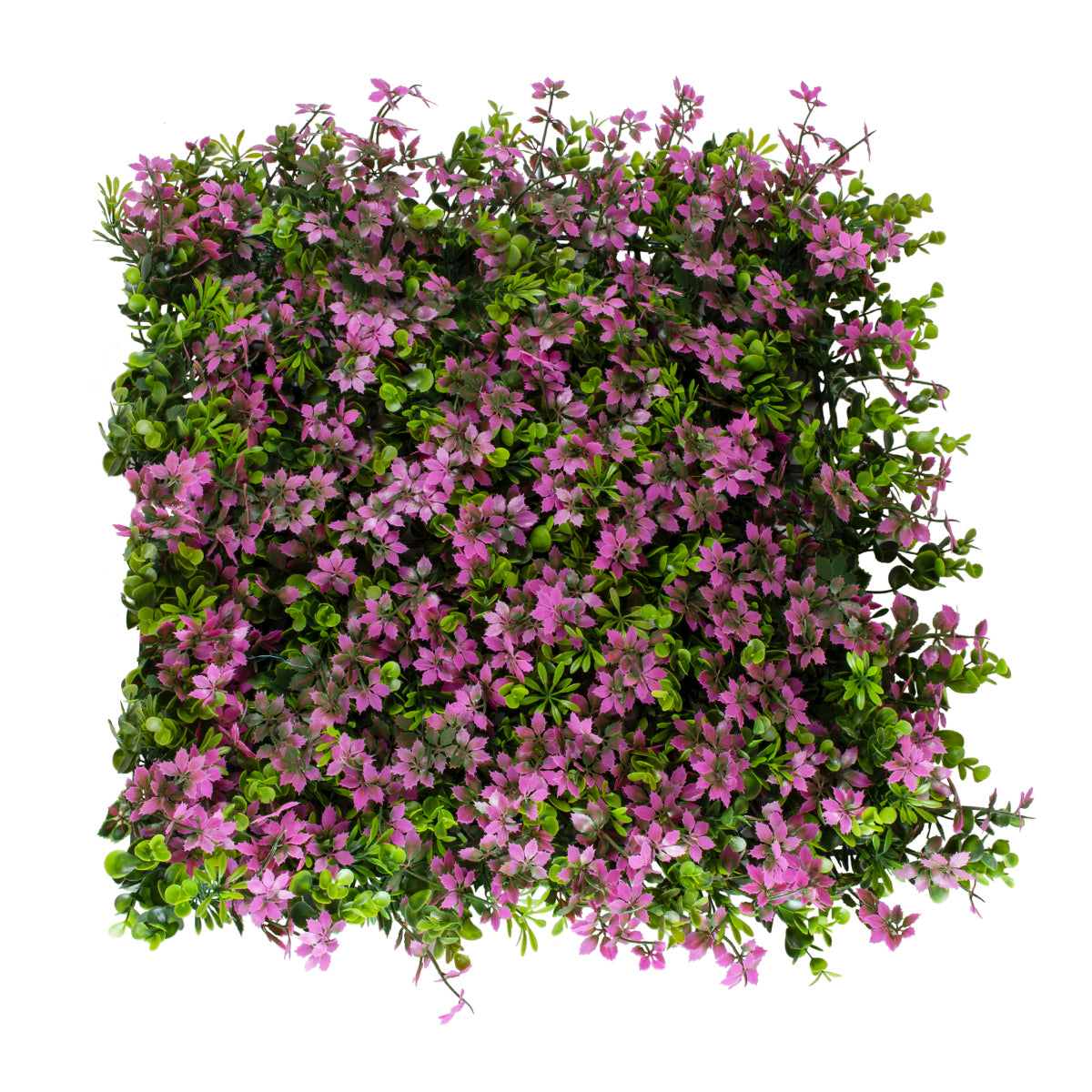 GloboStar® Artificial Garden CYPHEA HYSSOPIFOLIA 20350 Τεχνητό Διακοσμητικό Πάνελ Λουλουδιών - Κάθετος Κήπος σύνθεση Άνθος Κουφέας Μ50 x Π50 x Υ11cm - ledmania.gr
