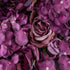 GloboStar® Artificial Garden ROSES STORY 20356 Τεχνητό Διακοσμητικό Πάνελ Λουλουδιών - Κάθετος Κήπος σύνθεση Φουξ & Βυσσινί Τριαντάφυλλα Μ40 x Π60 x Υ10cm - ledmania.gr