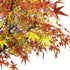GloboStar® Artificial Garden AUTUMN MAPLE TREE 20360 Τεχνητό Διακοσμητικό Δέντρο Φθινοπωρινός Σφένδαμος Υ350cm - ledmania.gr