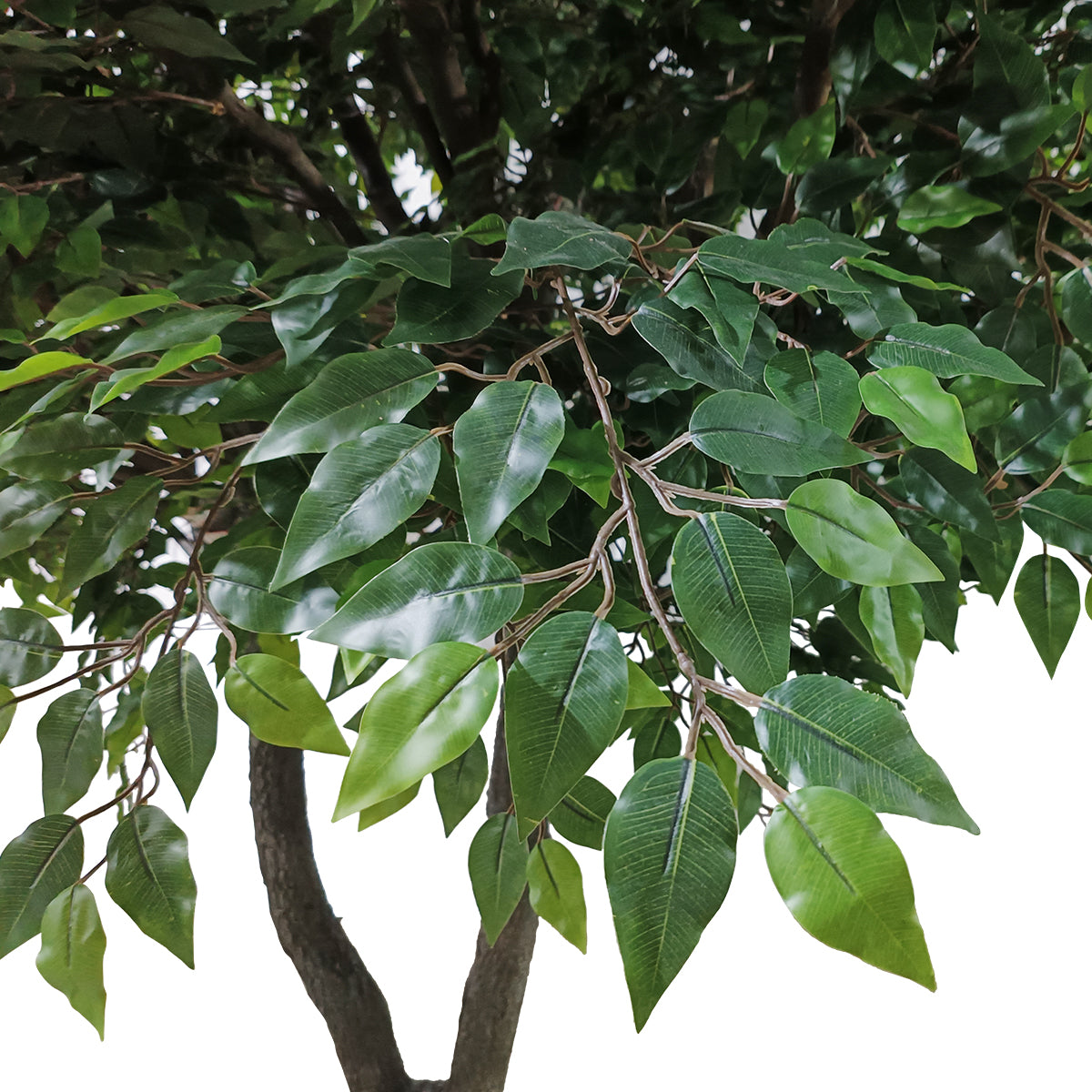 GloboStar® Artificial Garden BANYAN FICUS TREE 20361 Τεχνητό Διακοσμητικό Δέντρο Ινδική Συκιά Φίκος Υ300cm - ledmania.gr
