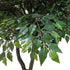 GloboStar® Artificial Garden BANYAN FICUS TREE 20361 Τεχνητό Διακοσμητικό Δέντρο Ινδική Συκιά Φίκος Υ300cm - ledmania.gr