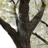 GloboStar® Artificial Garden BIANCA CHERRY BLOSSOM TREE 20362 Τεχνητό Διακοσμητικό Δέντρο Λευκό Άνθος Κερασιάς Υ350cm - ledmania.gr