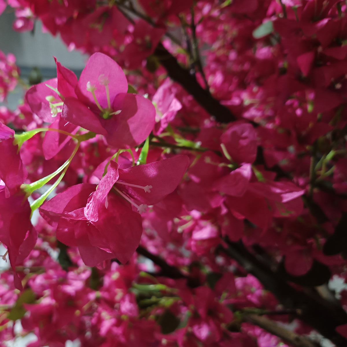 GloboStar® Artificial Garden RHODODENDRON TREE 20363 Τεχνητό Διακοσμητικό Δέντρο Ροδόδενδρο Υ350cm - ledmania.gr