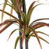 GloboStar® Artificial Garden DRAGON BLOOD TREE 20370 Τεχνητό Διακοσμητικό Φυτό Δράκαινα Υ150cm - ledmania.gr