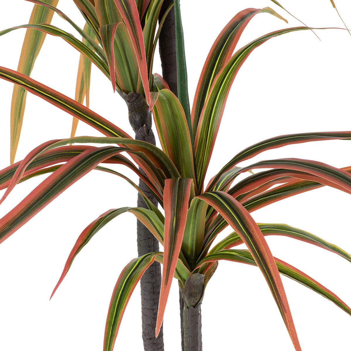 GloboStar® Artificial Garden DRAGON BLOOD TREE 20371 Τεχνητό Διακοσμητικό Φυτό Δράκαινα Υ220cm - ledmania.gr