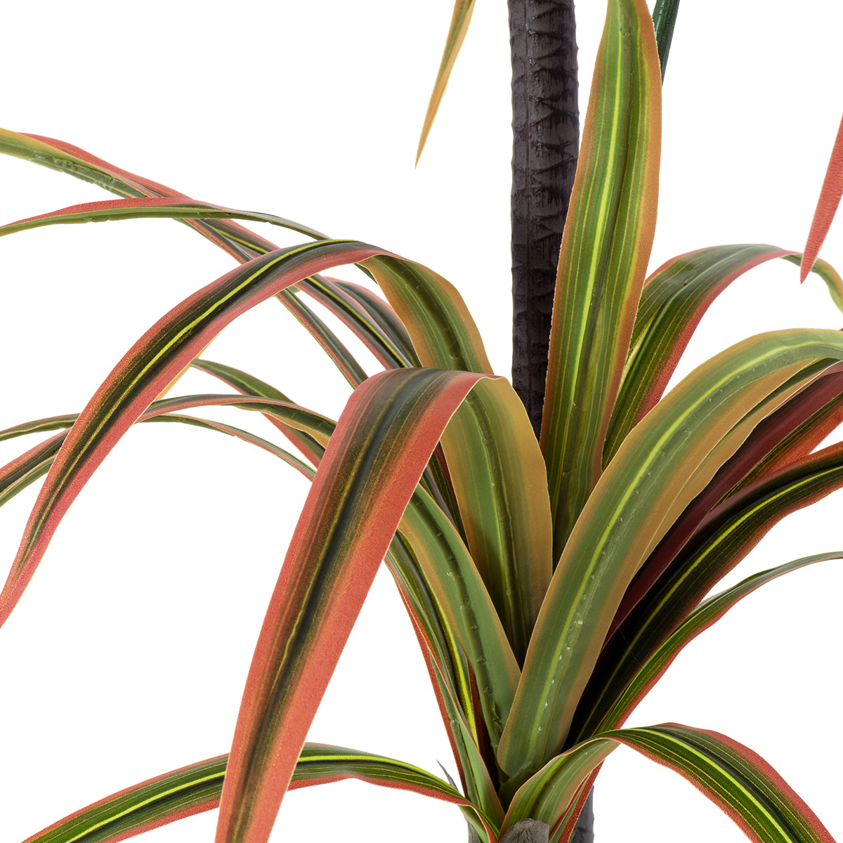 GloboStar® Artificial Garden DRAGON BLOOD TREE 20372 Τεχνητό Διακοσμητικό Φυτό Δράκαινα Υ180cm - ledmania.gr