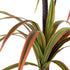 GloboStar® Artificial Garden DRAGON BLOOD TREE 20372 Τεχνητό Διακοσμητικό Φυτό Δράκαινα Υ180cm - ledmania.gr