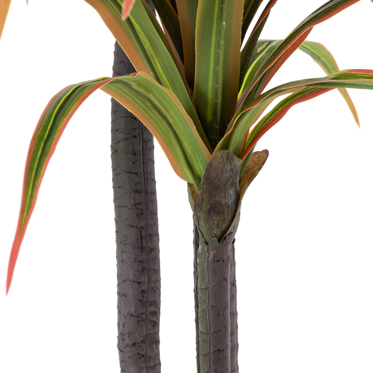 GloboStar® Artificial Garden DRAGON BLOOD TREE 20372 Τεχνητό Διακοσμητικό Φυτό Δράκαινα Υ180cm - ledmania.gr