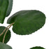 GloboStar® Artificial Garden POLYSCIAS BALFOURIANA TREE 20373 Τεχνητό Διακοσμητικό Φυτό Πολυσκιά Υ70cm - ledmania.gr