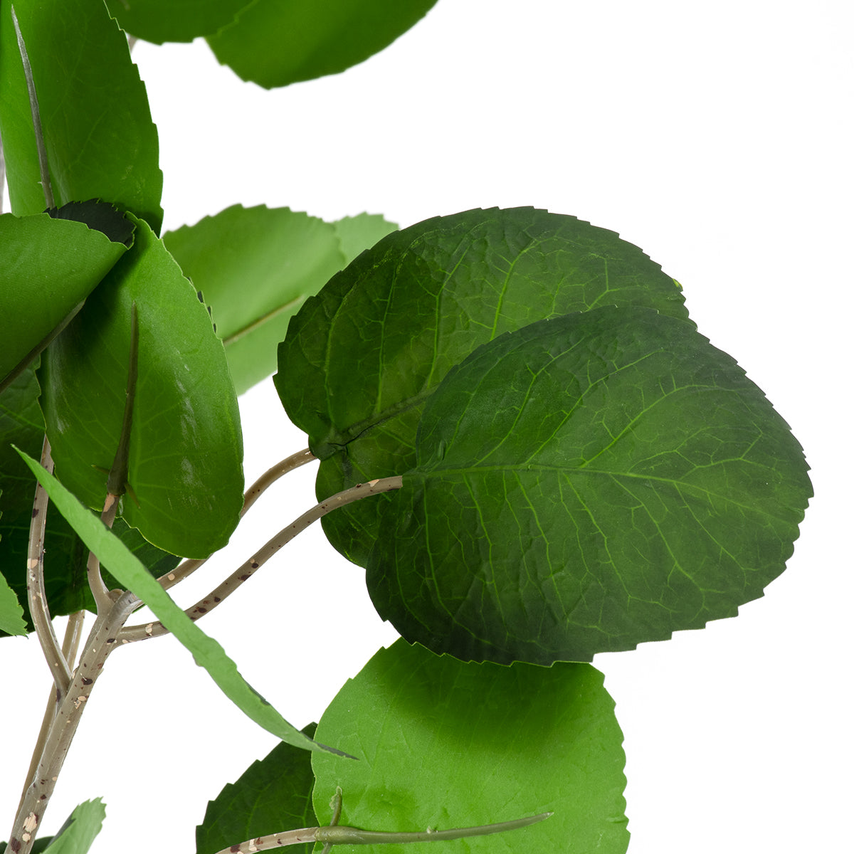 GloboStar® Artificial Garden POLYSCIAS BALFOURIANA TREE 20375 Τεχνητό Διακοσμητικό Φυτό Πολυσκιά Υ180cm - ledmania.gr