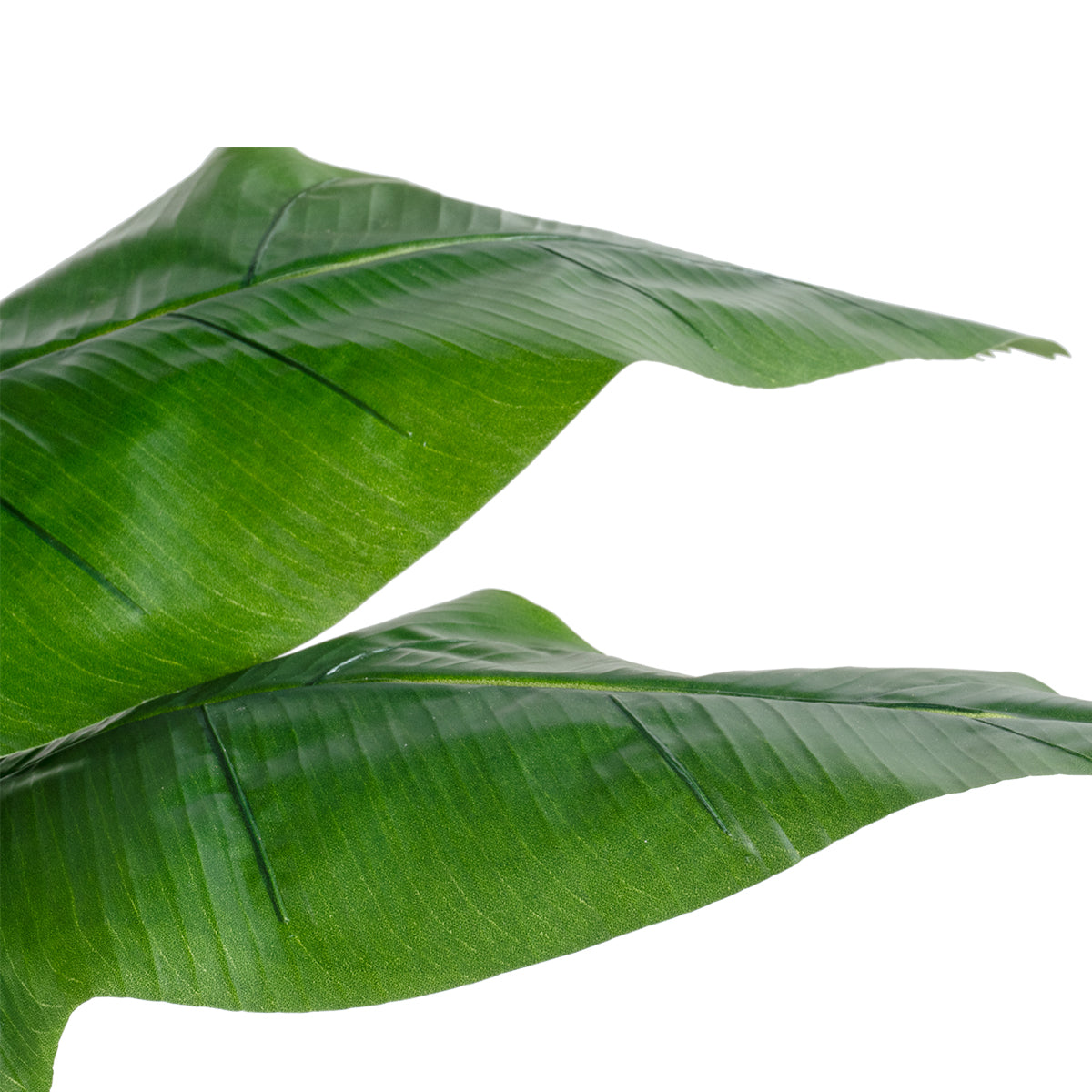 GloboStar® Artificial Garden BANANA STRELITZIA REGINAE 20381 Τεχνητό Διακοσμητικό Φυτό  Μπανανιά - Στρελίτσια - Πουλί του Παραδείσου Υ230cm - ledmania.gr