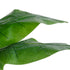 GloboStar® Artificial Garden BANANA STRELITZIA REGINAE 20381 Τεχνητό Διακοσμητικό Φυτό  Μπανανιά - Στρελίτσια - Πουλί του Παραδείσου Υ230cm - ledmania.gr