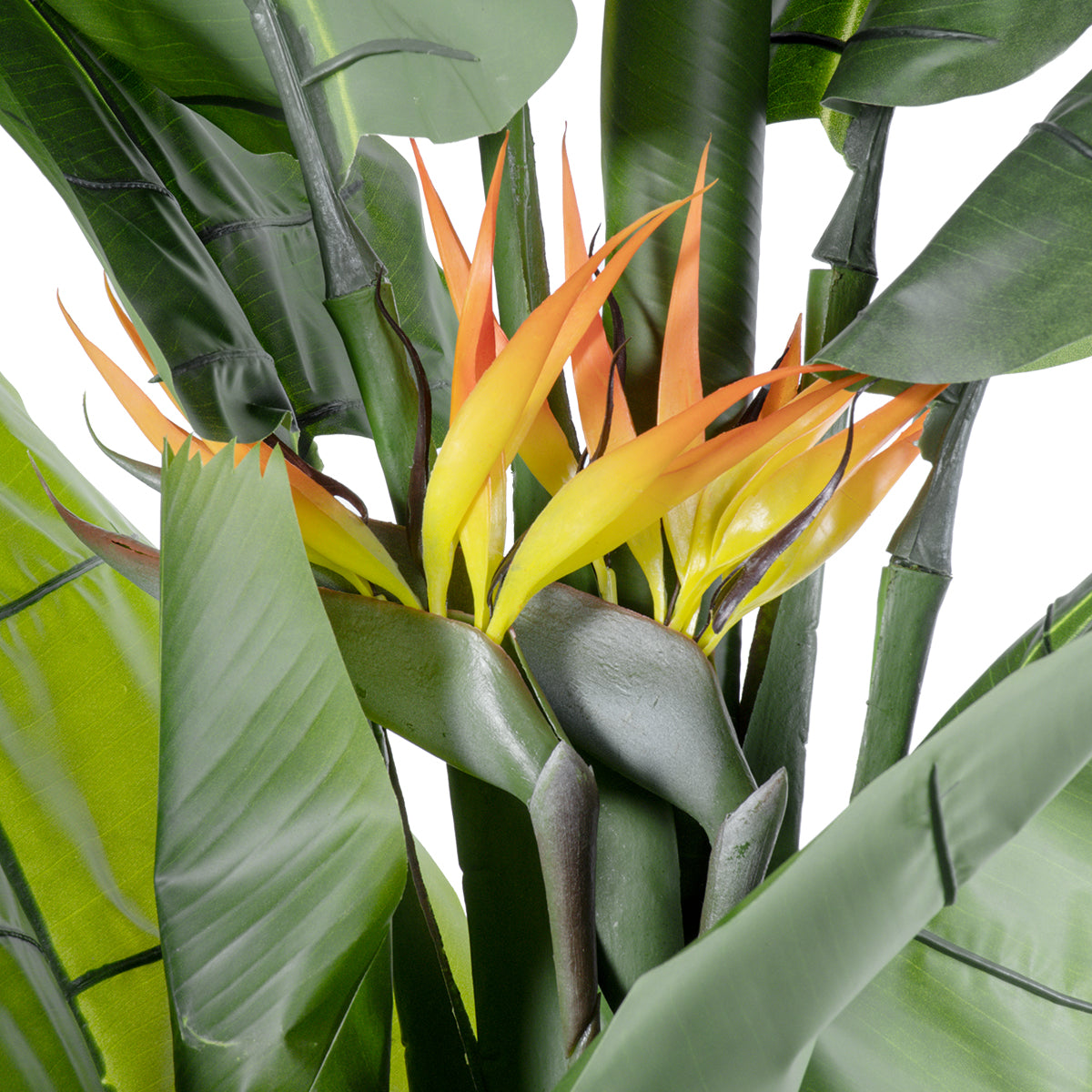 GloboStar® Artificial Garden BANANA STRELITZIA REGINAE 20381 Τεχνητό Διακοσμητικό Φυτό  Μπανανιά - Στρελίτσια - Πουλί του Παραδείσου Υ230cm - ledmania.gr