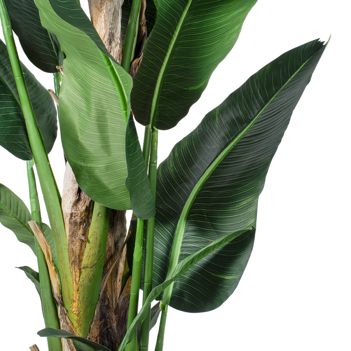 GloboStar® Artificial Garden BANANA TREE 20382 Τεχνητό Διακοσμητικό Φυτό  Μπανανιά Υ300cm - ledmania.gr