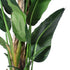 GloboStar® Artificial Garden BANANA TREE 20382 Τεχνητό Διακοσμητικό Φυτό  Μπανανιά Υ300cm - ledmania.gr