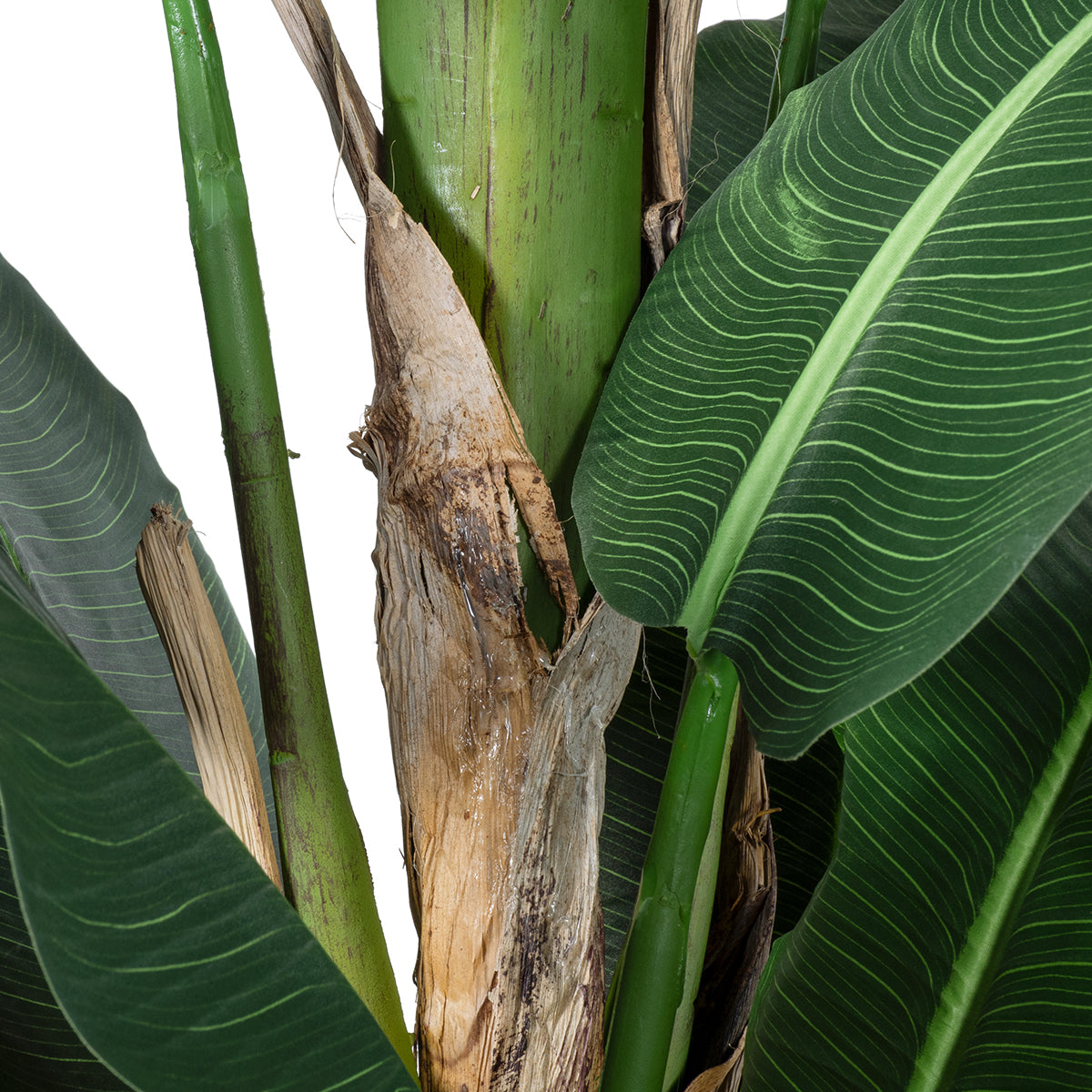 GloboStar® Artificial Garden BANANA TREE 20382 Τεχνητό Διακοσμητικό Φυτό  Μπανανιά Υ300cm - ledmania.gr