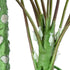 GloboStar® Artificial Garden PAPAYA TREE 20383 Τεχνητό Διακοσμητικό Φυτό  Παπάγια Υ270cm - ledmania.gr