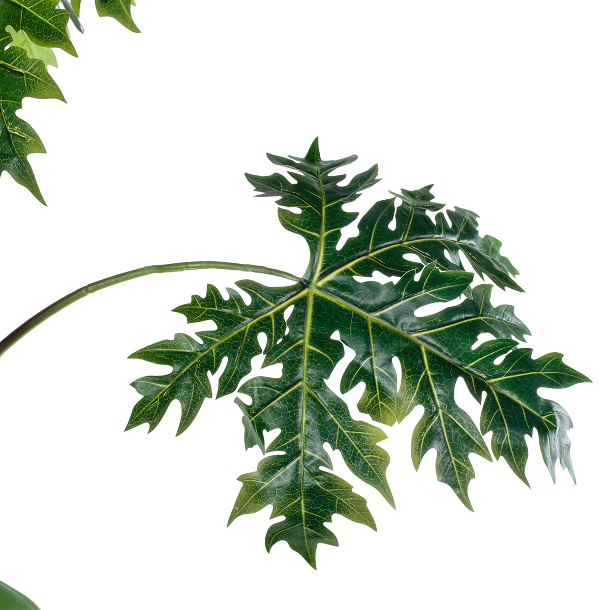 GloboStar® Artificial Garden PAPAYA TREE 20383 Τεχνητό Διακοσμητικό Φυτό  Παπάγια Υ270cm - ledmania.gr